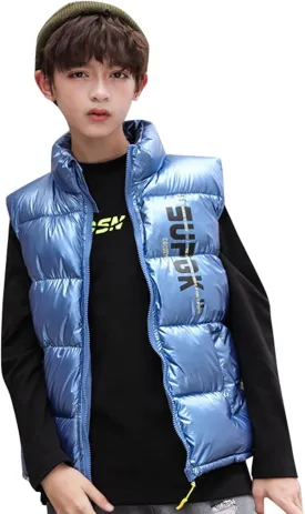 Boys Girls Puffer Vest Winter Coat Warm Lightweight Toddler Vest Outerwear High Neck Cute Sleeveless Down Jacket